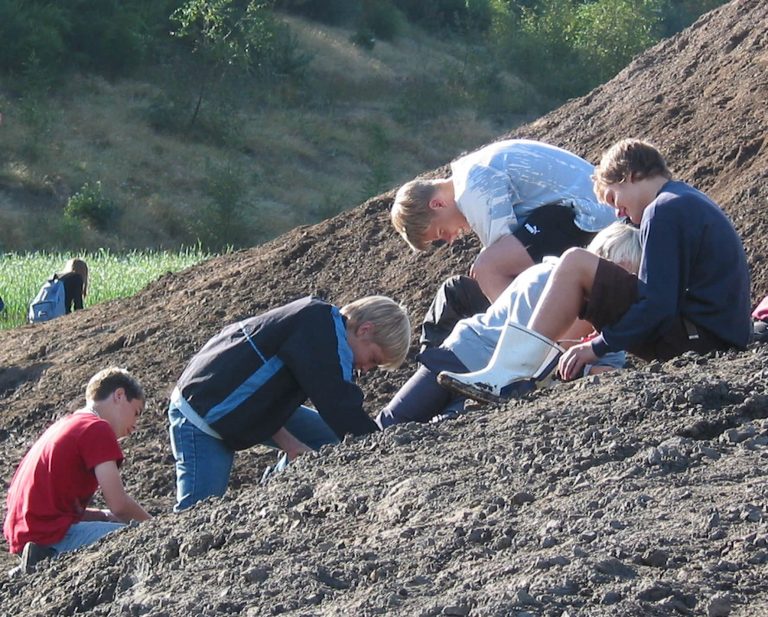 Fossiljagt for hele familien