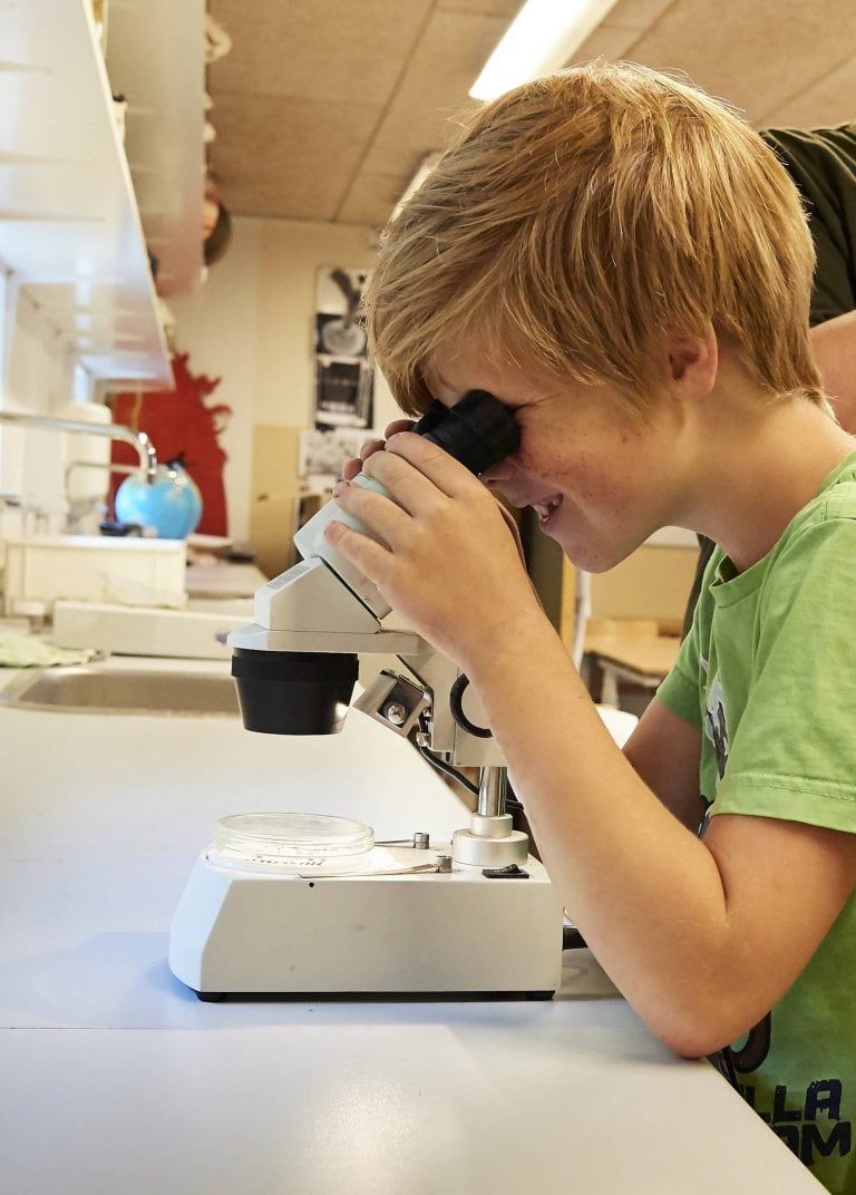 Sne og is- når naturen er kold
