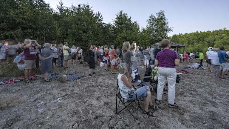 Oplev naturen om natten
