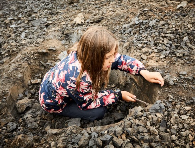Kom ud og grav fossiler op