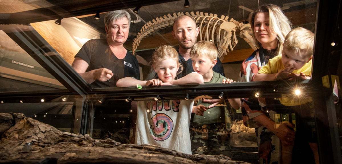 familie sammen med palæontolog kigger på stort fossil i udstilling