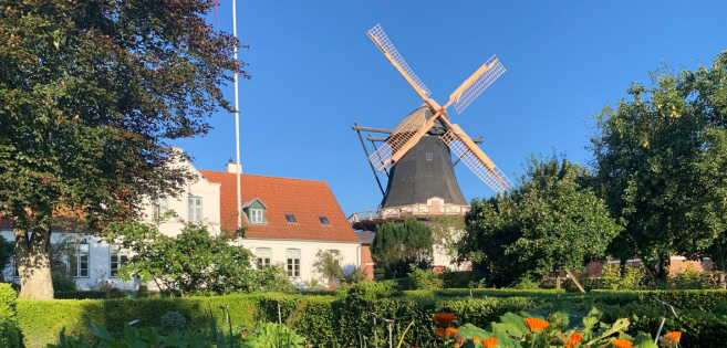 Die Mühle von Højer und der Mühlengarten in voller Blüte