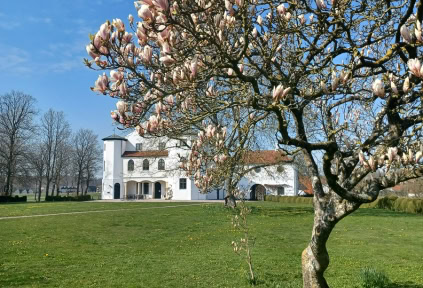 Der Schlosspark mit einem Magnolie-baum in voller Blüte