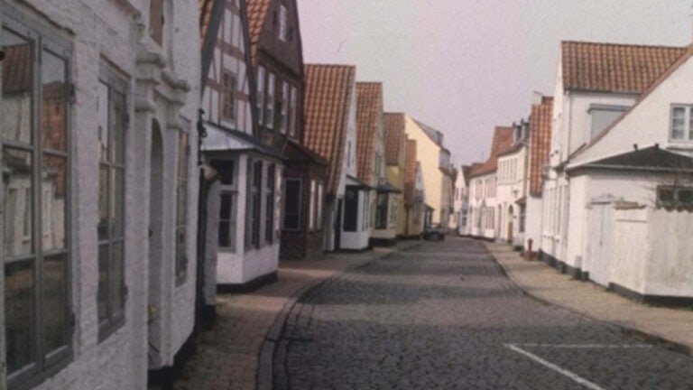 DEN 11. JUNI