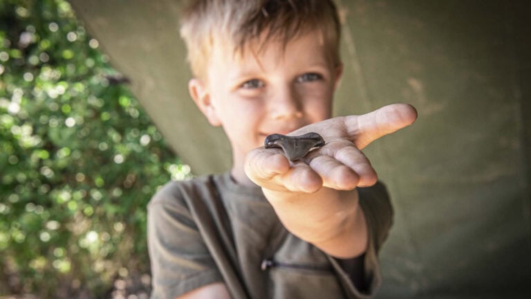GRATIS SOMMERFERIEAKTIVITET