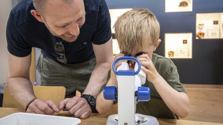 GRATIS SOMMERFERIEAKTIVITET