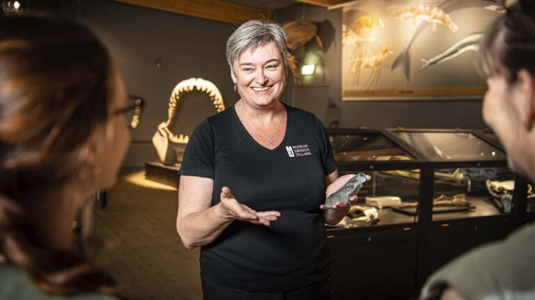 FÅ BILLETTER TILBAGE - KØB BILLET PÅ FORHÅND HER