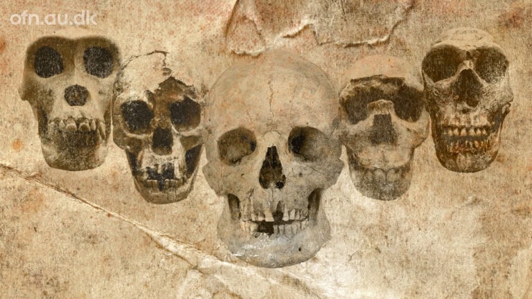 GRATIS - RESERVER DIN PLADS HER