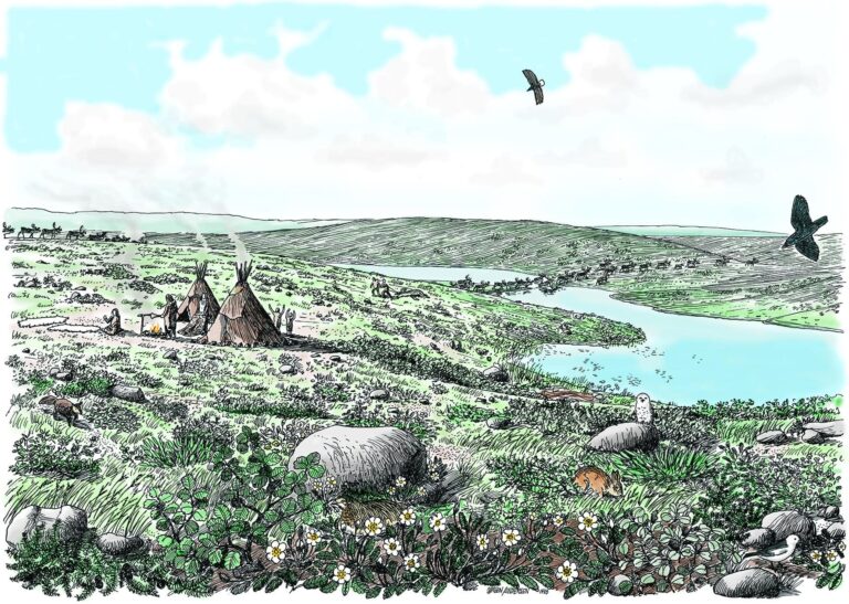 I SAMARBEJDER MED DVL